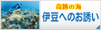 奇跡の海　伊豆へのお誘い