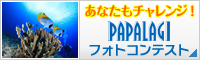 あなたもチャレンジ！パパラギフォトコンテスト