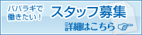 スタッフ募集