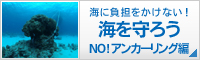 海を守ろう！　NO!アンカーリング編