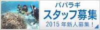 スタッフ募集-海で働こう！