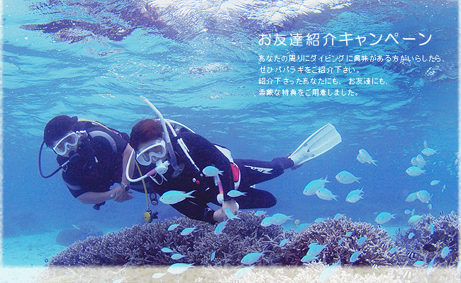 お友達紹介キャンペーン