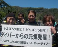 募金、ありがとうございます。