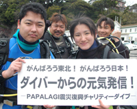 募金、ありがとうございます。
