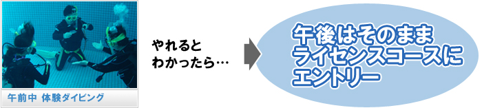 体験ダイビングから初心者ダイビングライセンス取得講習へ