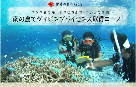 南の島でダイビング
