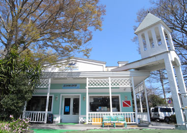 パパラギ ダイビングスクール伊豆店