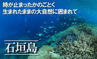 時が止まったかのごとく生まれたままの大自然に囲まれて　石垣島