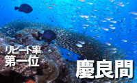 那覇ステイ慶良間ダイブツアー