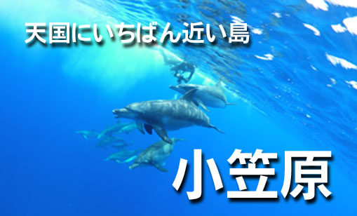 小笠原　父島･母島