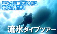世界遺産オホーツク　流氷ダイブツア            ー！