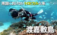 プライベートリゾート　渡嘉敷島