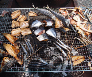 海で元気になろう!フェスティバル