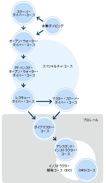 スキルアップ講習プログラム フロー図