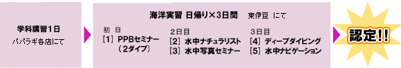 プライベートアドバンス