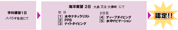 大島、大瀬崎