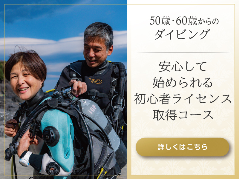 50歳・60歳からのダイビング 詳細はこちら