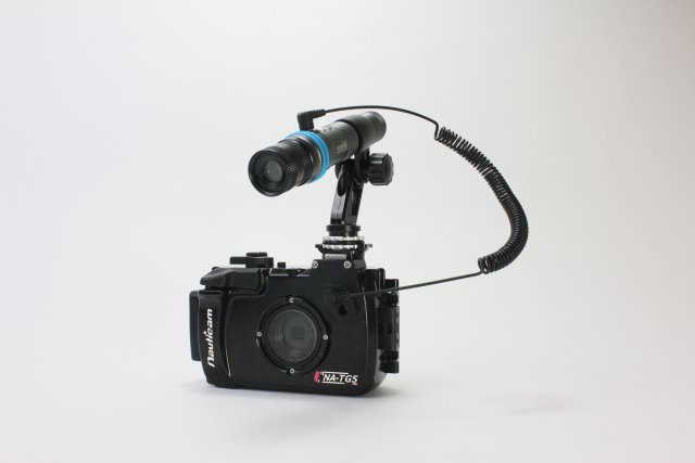WF Smart Focus 1000FR