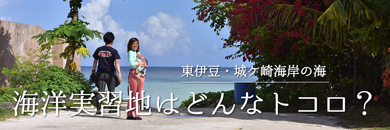 海洋実習地はどんなトコロ？はこちら