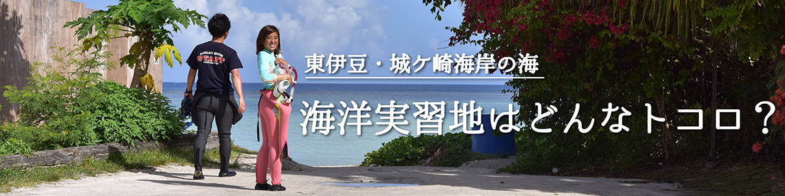 海洋実習地はどんなトコロ？はこちら