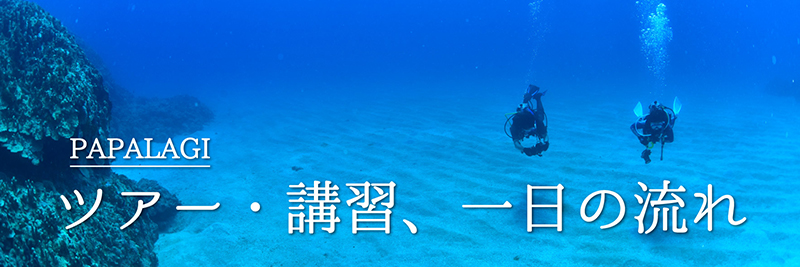 ツアー・講習、一日の流れはこちら