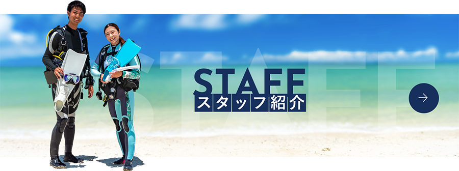 スタッフ紹介