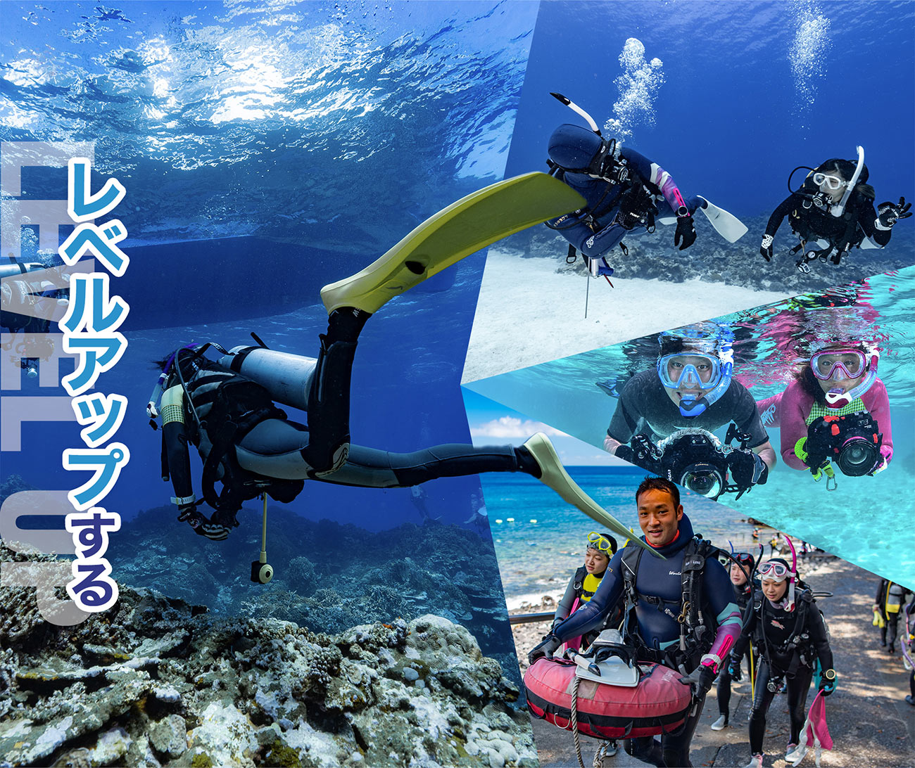 レベルアップする