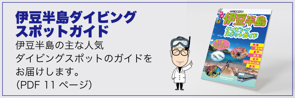 伊豆半島ダイビングスポットガイド