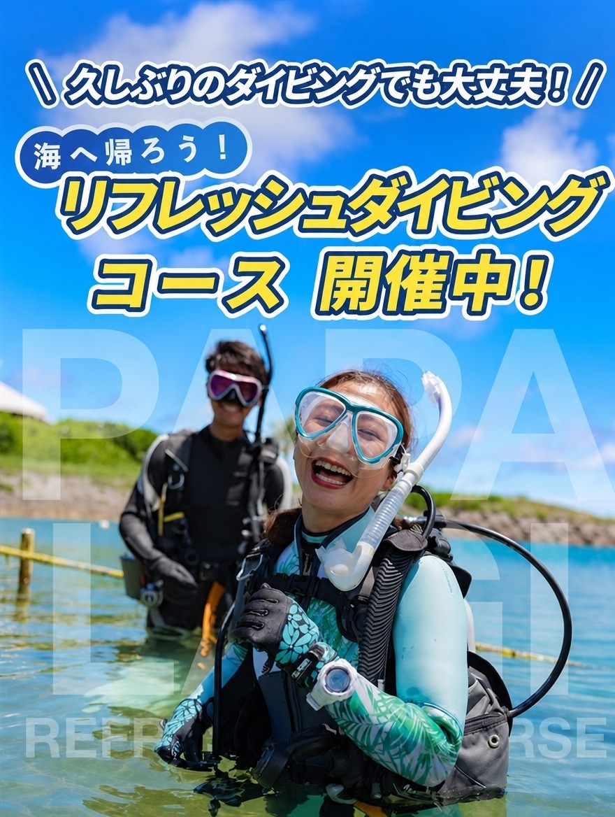久しぶりのダイビングでも大丈夫！海へ帰ろう！リフレッシュダイビングコース開催中！