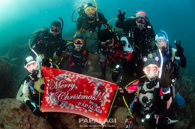 2025.11.29(土)-30(日)