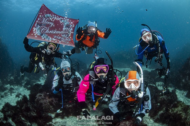 2025.12.23(火)-24(水)