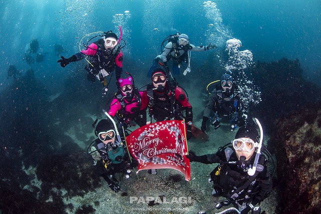 2025.12.13(土)-14(日)