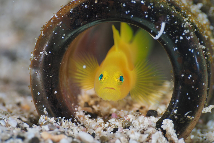 10月24日～26日　四国愛南ツアー