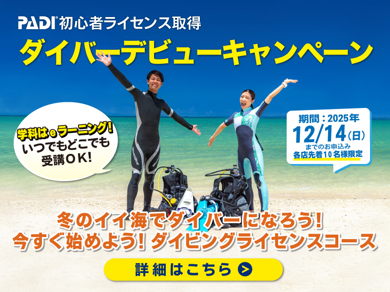 ダイバーデビュー応援キャンペーン開催中！