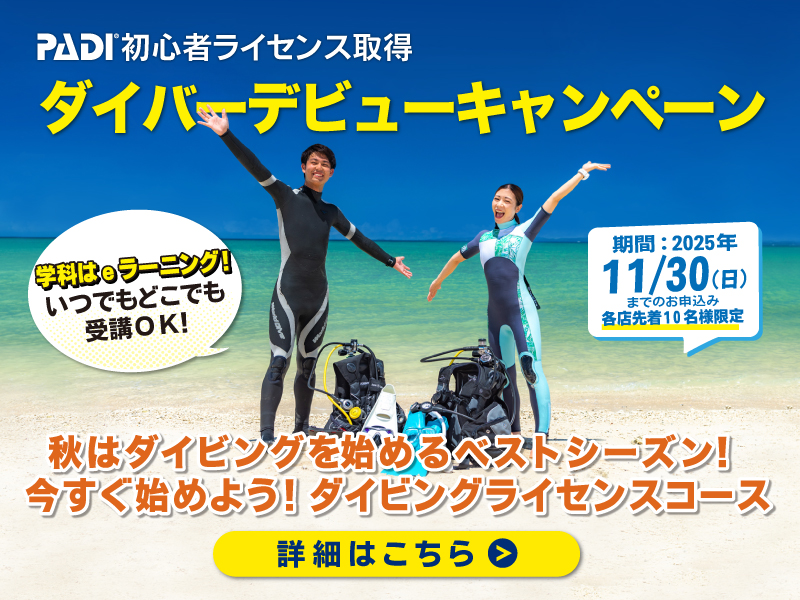 ダイバーデビュー応援キャンペーン開催中！