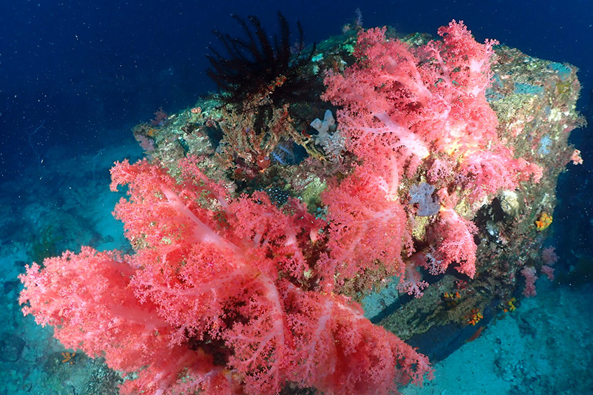 10月17日～19日　四国愛南ツアー