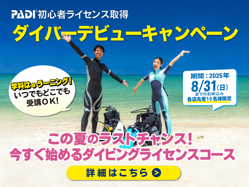 ダイバーデビュー応援キャンペーン開催中！
