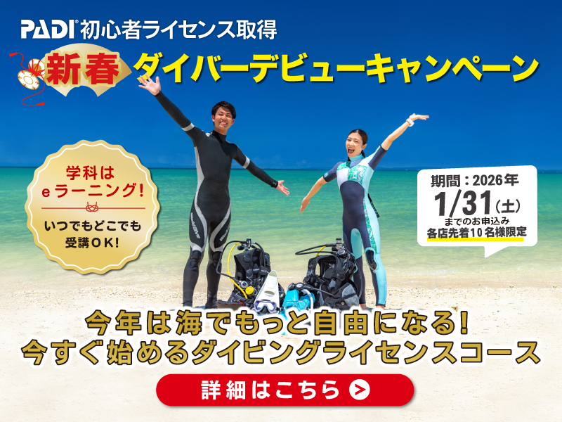 ダイバーデビュー応援キャンペーン開催中！