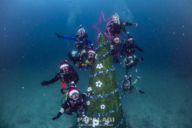 2025.12.6(土)-7(日)