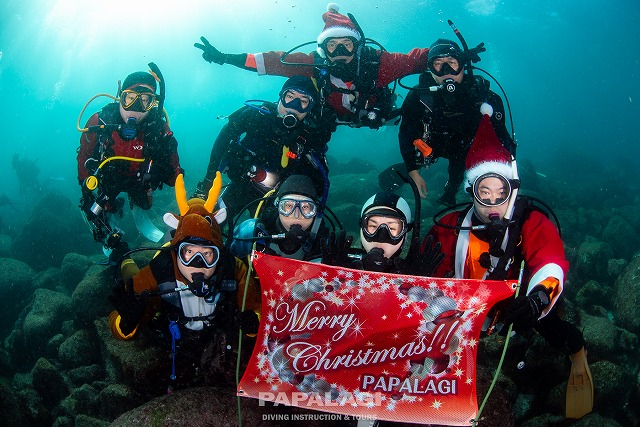 2025.11.29(土)-30(日)