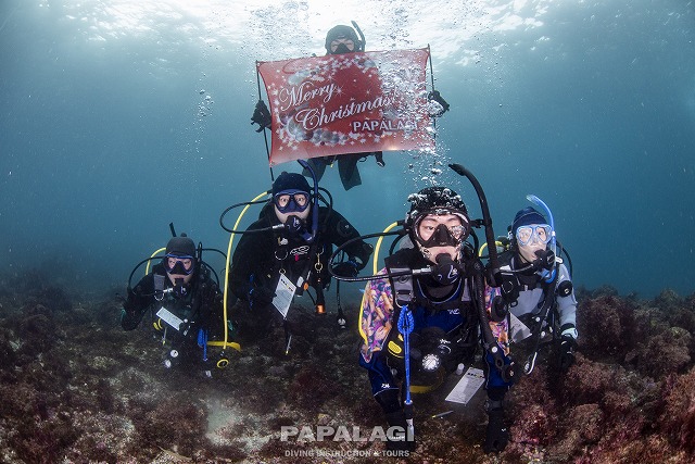 2025.12.20(土)-21(日)