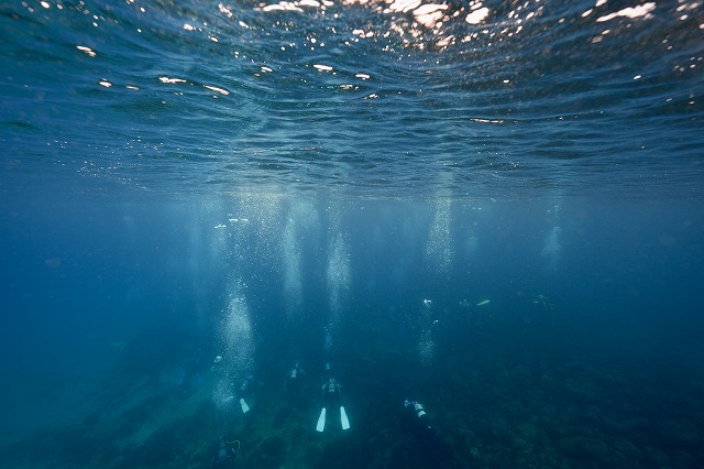 「ワイド」部門