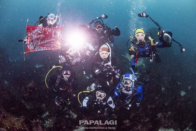 2025.12.13(土)-14(日)