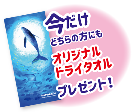 今月の限定特典！