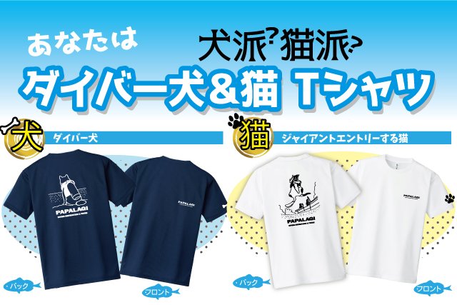 パパラギ35周年tシャツ パパラギダイビングスクールでダイビングライセンス取得
