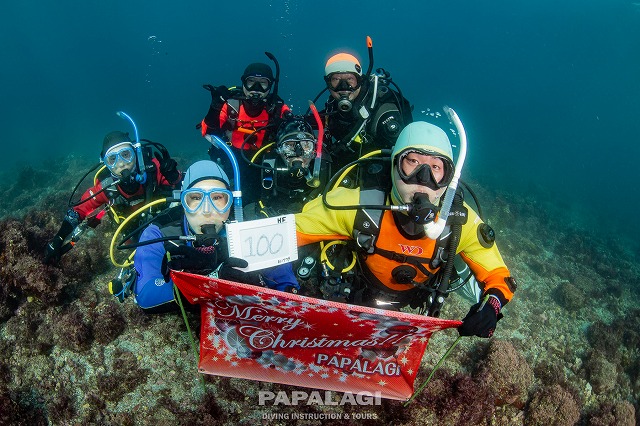 2025.11.29(土)-30(日)