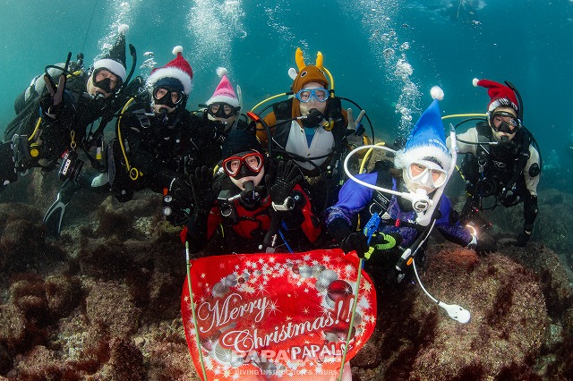 2025.11.29(土)-30(日)