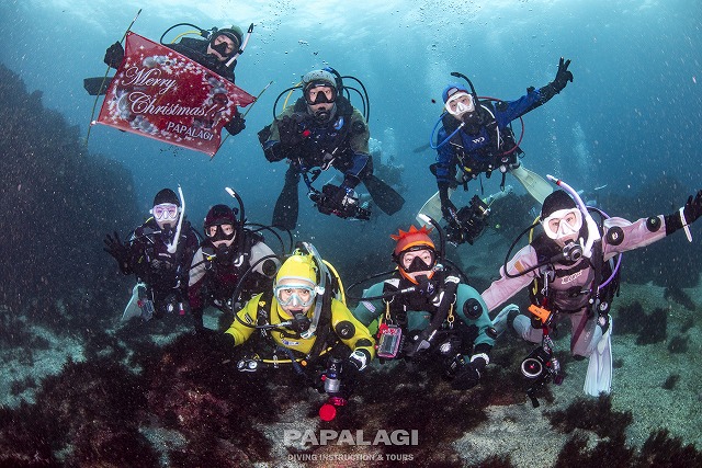 2025.12.13(土)-14(日)