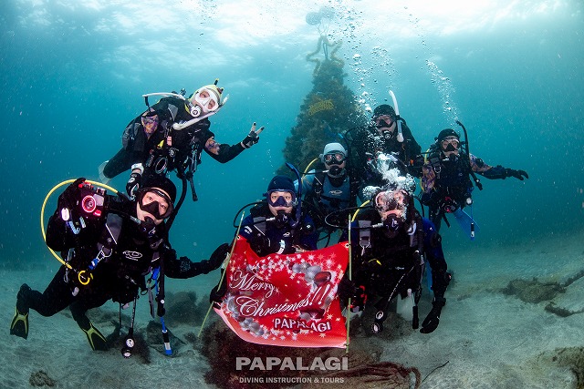 2025.11.29(土)-30(日)