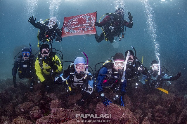 2025.12.20(土)-21(日)